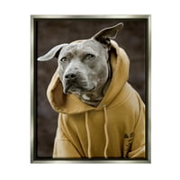 Ступел индустрии усмихнат Лабрадор куче, облечен с качулка Жълт суитчър снимка блясък сив плаващ рамка платно