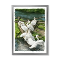 Дизайнарт 'Пеликани почиващи край речна вода' традиционна рамка Арт Принт